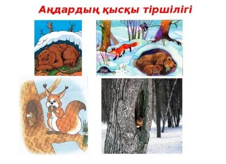 Қара триомен порно