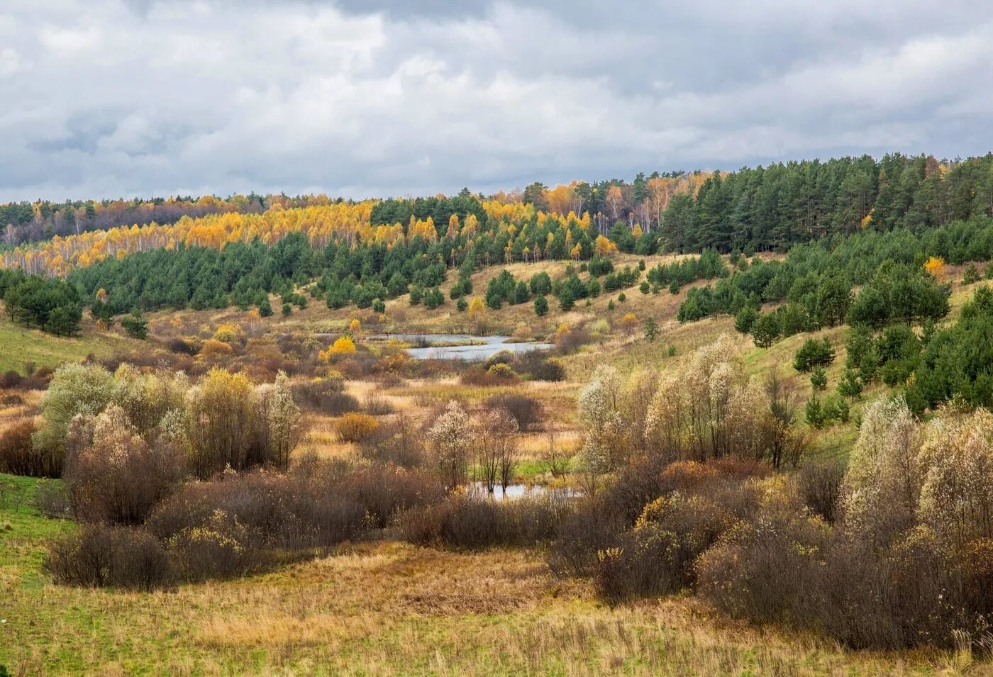 Низина земли. Осиново Татарстан. Низины леса. Лесная Низина. Низина природа.