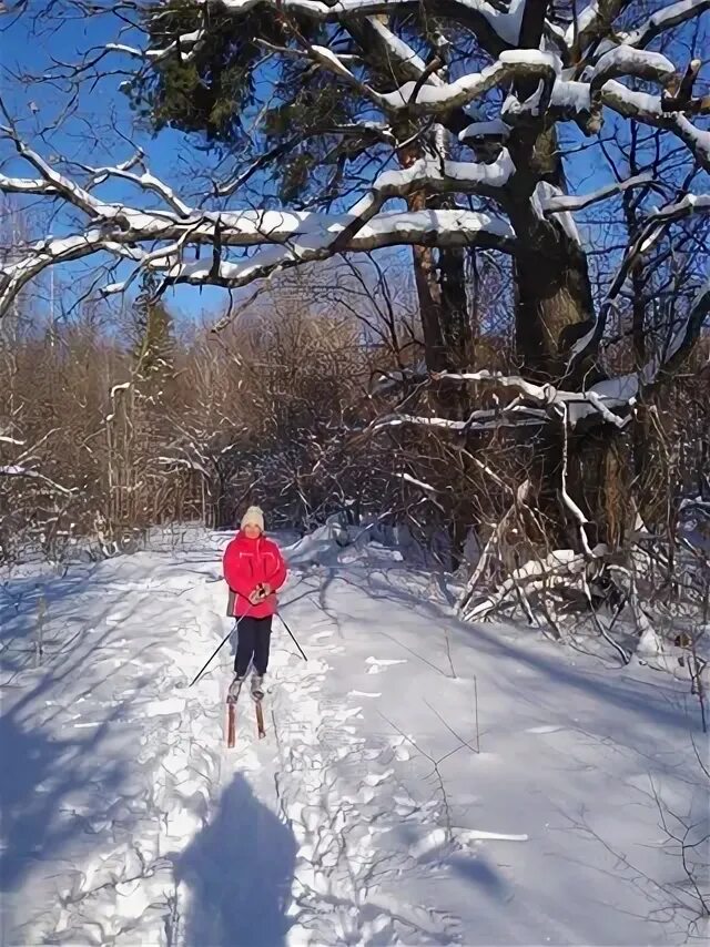 Марпосад Сундырцева. Сундырцева.