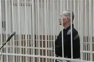 Адидас сидит в черном дельфине