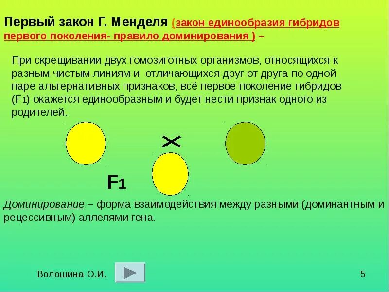 Чистые линии с альтернативными признаками. Правило единообразия гибридов первого поколения. Первый закон Менделя закон единообразия гибридов первого поколения. Первый закон Менделя - закон единообразия. Первый закон Менделя закон единообразия первого поколения это.