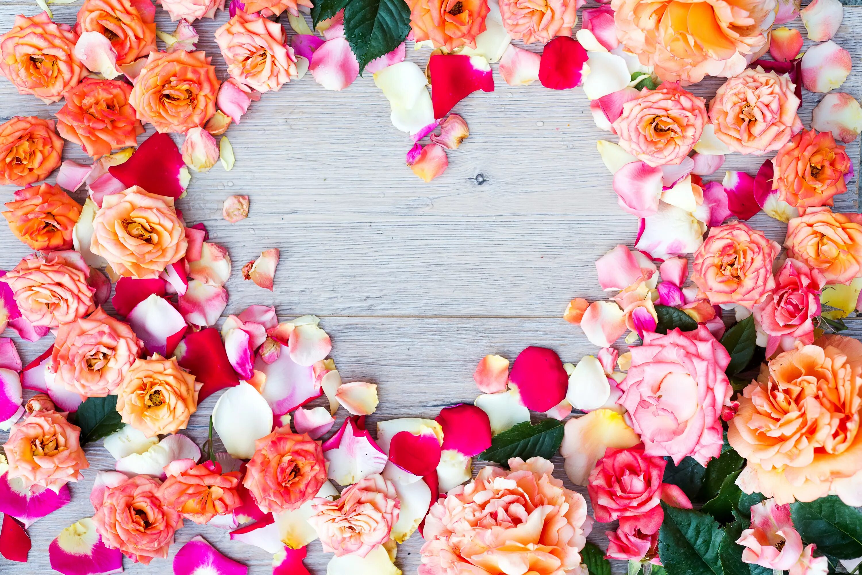 Rose background