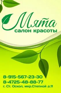 Салон красоты мята
