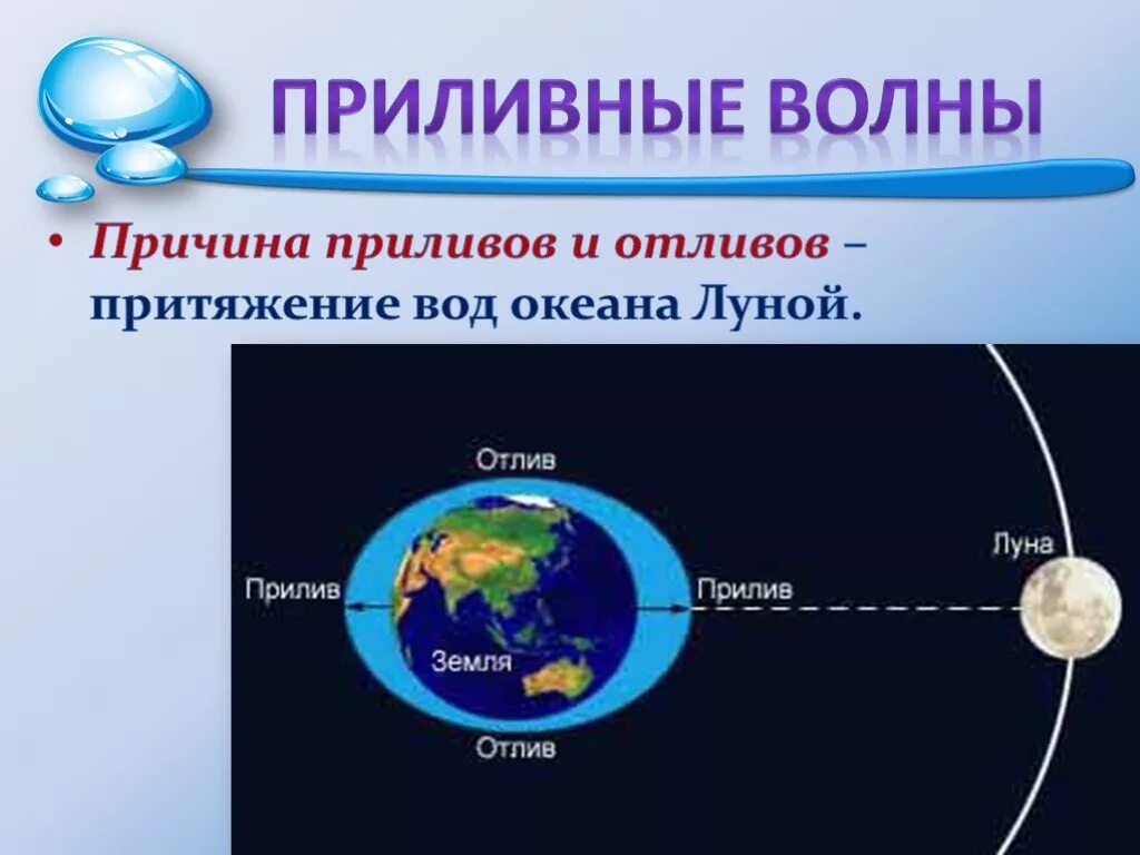 Каковы причины образования приливов и отливов. Приливы и отливы схема. Схема возникновения приливов. Океанические приливы и отливы. Морские приливы и отливы Луна.