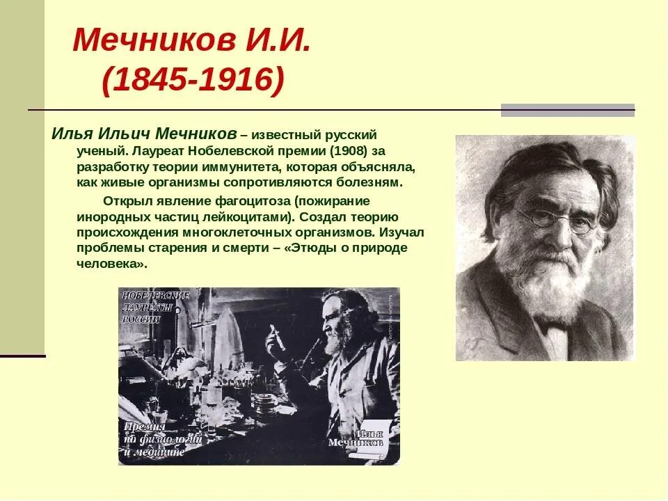 Какое явление открыл мечников. Мечников и.и. (1845-1916).