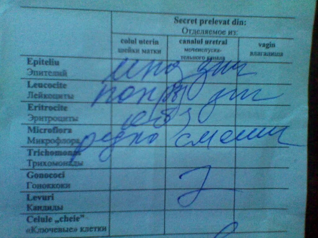 Как правильно сдавать мазок. Как правильно сдавать мазок