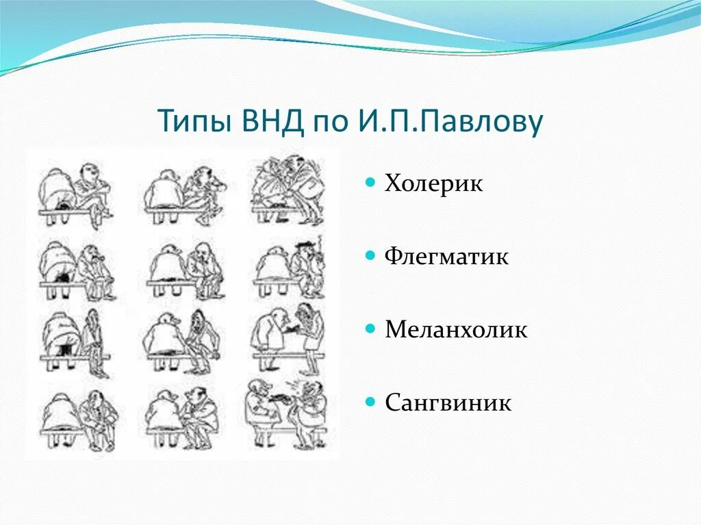 Типы ВНД И темперамента по Павлову. Типы ВНД по Гиппократу и Павлову рисунок. Типы высшей нервной деятельности и темперамент по Павлову схема. Типы ВНД собак схема. Типах темперамента и п павлова