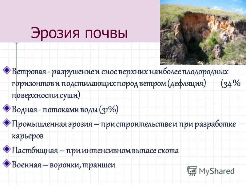 Основные функции почвы