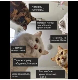 Вставай там