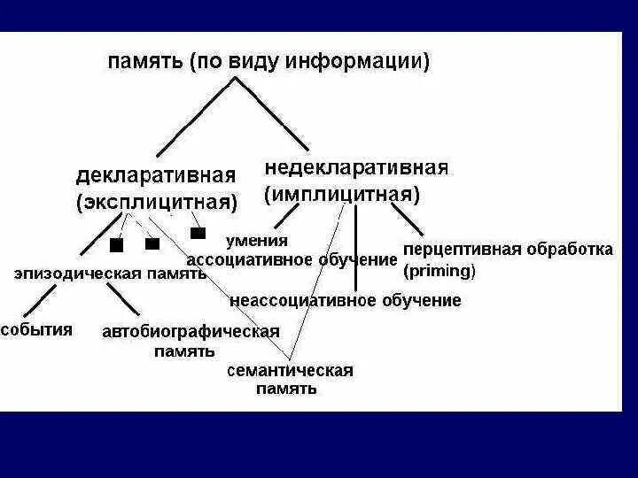 Эксплицитная память имплицитная память. Декларативную (эксплицитную) память. Декларативная и недекларативная память. Особенности формирования имплицитной и эксплицитной памяти.