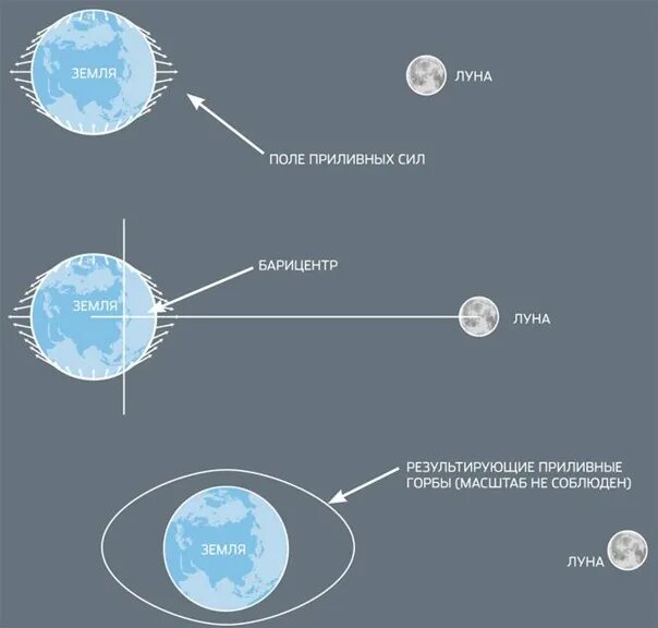 Приливные горбы. Барицентр земля Луна. Скорость Луны вокруг земли. Скорость вращения Луны вокруг земли. Скорость вращения луны