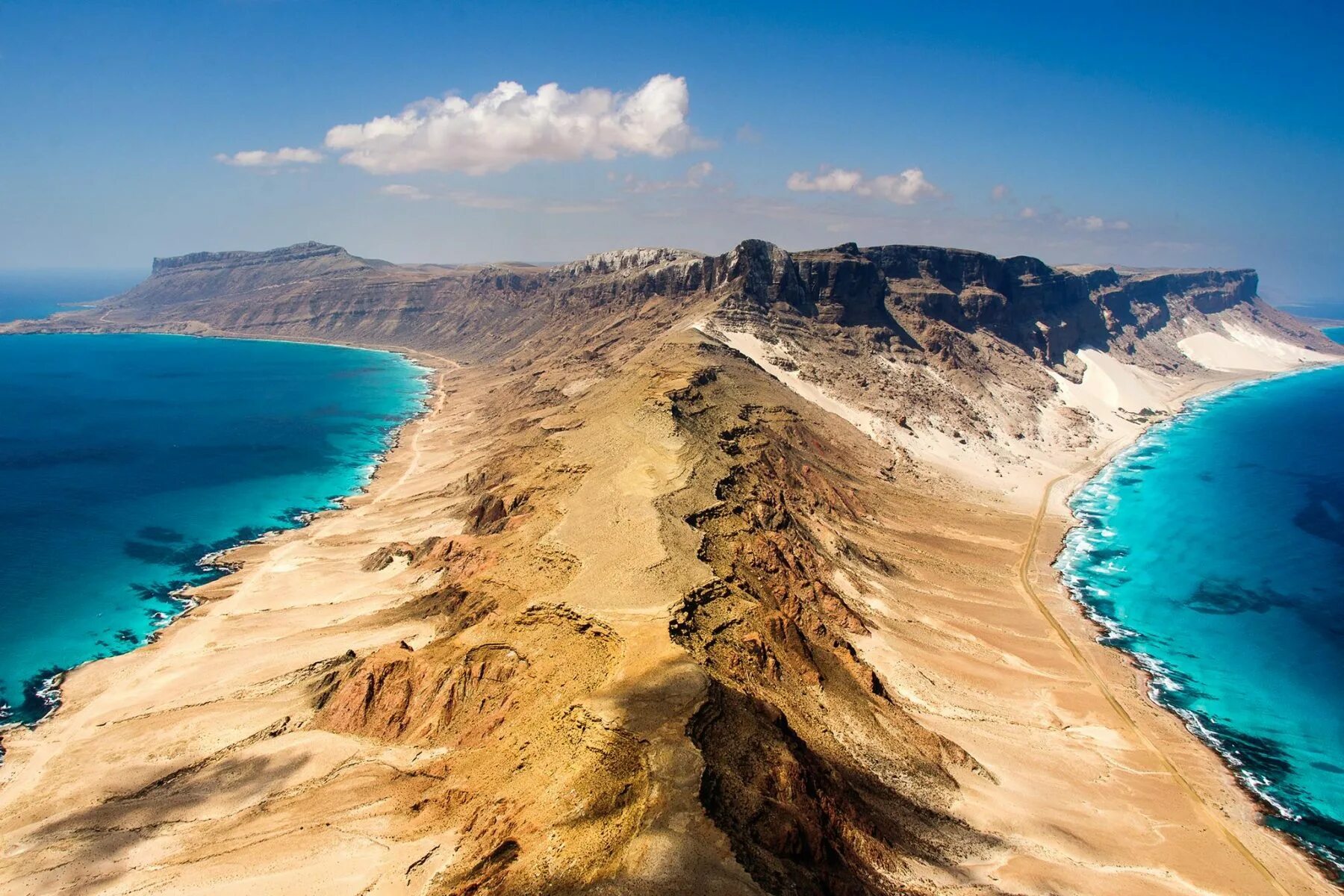 растения острова сокотра. сокотра остров. сокотра национальный парк. сокотра оазис. сокотра оазис.