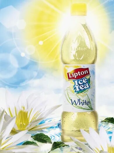 Белый липтон. Lipton White Tea. Холодный чай Липтон белый. Lipton белый чай холодный. Липтон айс ти белый.