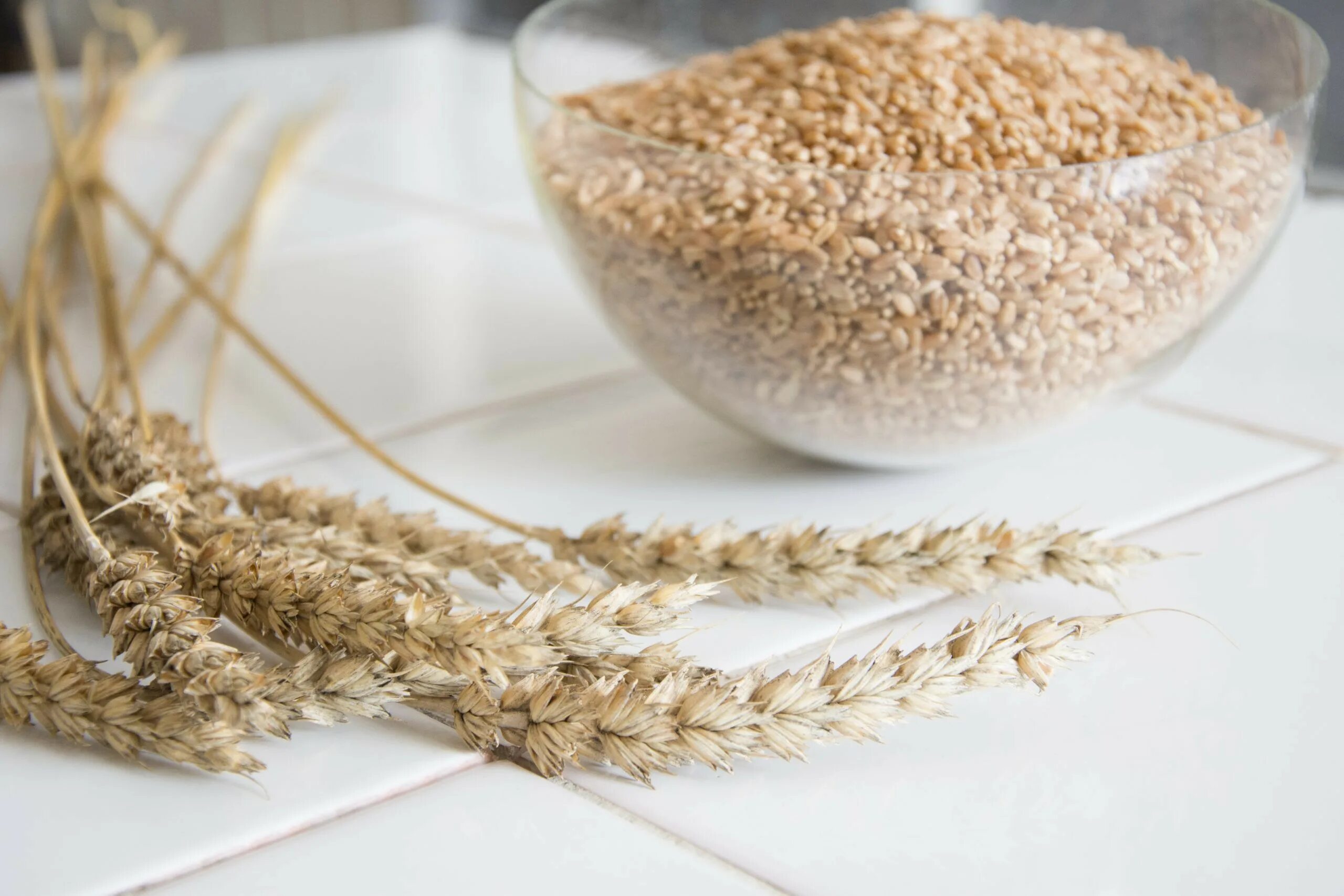 Переработка зерна пшеницы. Сушка зерна пшеницы. Обработка пшеницы. Обработка пшеницы. John deere 4730 опрыскивание сахарной свеклы.