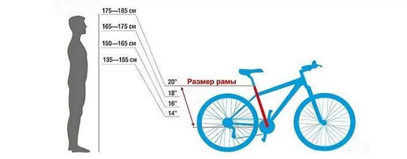 Какую раму выбрать под рост. Размер рамы 150 165. Размер рамы велосипеда под рост 182см. Рост 175 размер рамы велосипеда Trek. Размер рамы на рост 160.