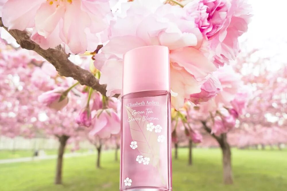 Elizabeth Arden Green Tea Cherry Blossom. Elizabeth Arden Green Sakura Blossom. Elizabeth Arden Green Tea Sakura Blossom. Elizabeth Arden Green Tea Sakura Blossom 100. Blossom woman