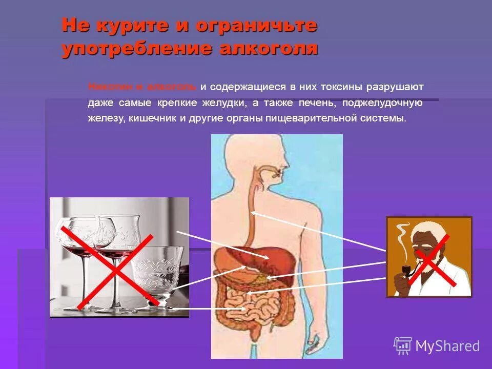 Памятка по гигиене питания. Памятка о гигиене пищеварения. Регуляция пищеварительной системы. 10 правил гигиены пищеварения. Предубеждение желудочно кишечных заболеваний.