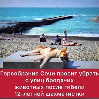 Где лето в сочи