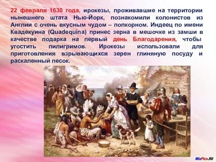 О каких особенностях жизни колонистов