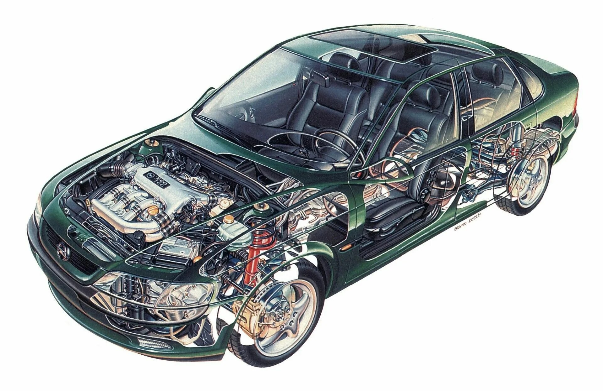 Устройства opel. Opel Vectra a 2.5 v6. Cutaway Opel. Opel Vectra a v6. Opel Vectra 1995.