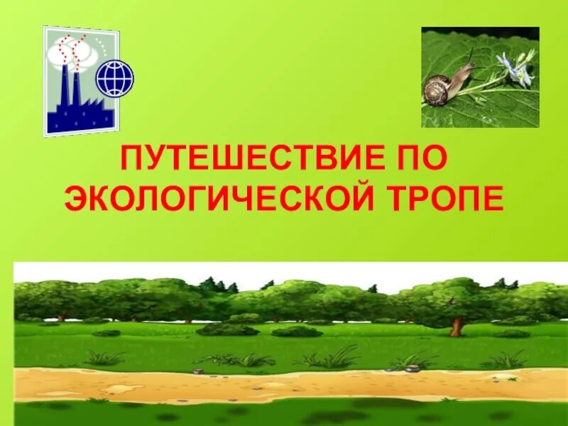 Экологическое путешествие презентация. Экологическое путешествие презентация. Экологическое путешествие презентация. Путешествие по экологической тропе в начальной школе. Путешествие по экологической тропе средняя группа.