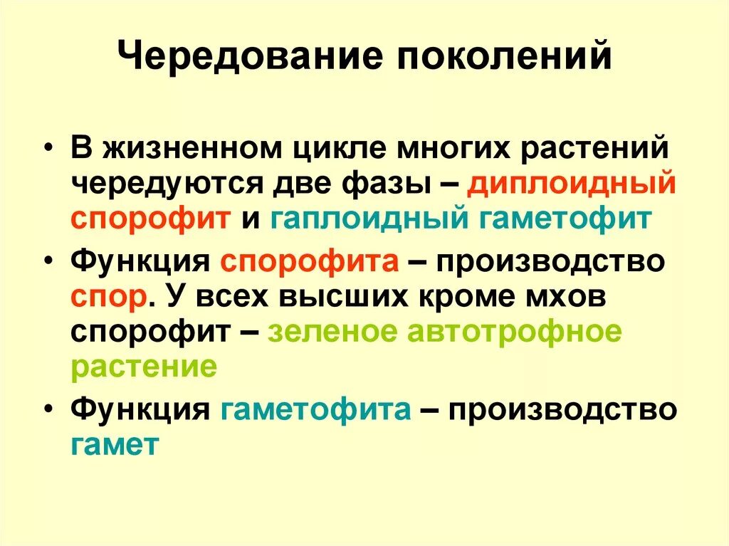 Чередование поколений происходит. Чередование поколений. Чередование поколений у растений. Чередование поколений это в биологии. Чередование поколений у высших растений.