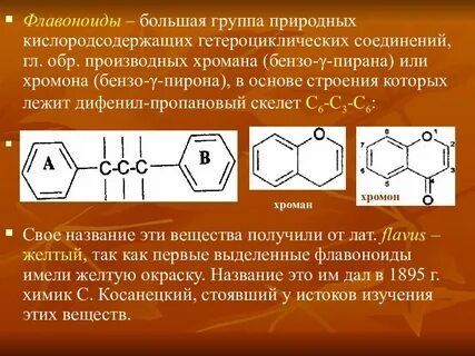 Флавонолы это простыми словами