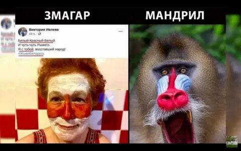Змагар это