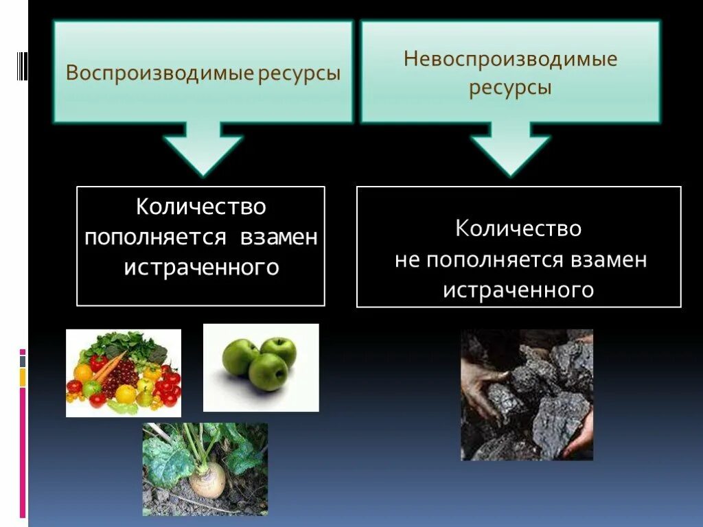 К природным ресурсам можно отнести. Воспроизводимые и невоспроизводимые природные ресурсы. Воспроизведение природных ресурсов. Невоспроизводимые ресурсы в экономике. Примеры воспроизводимых ресурсов.