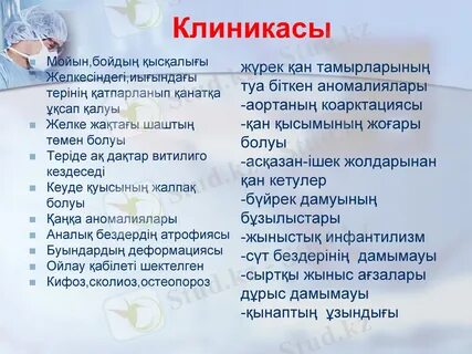 Жаңа сауын ком