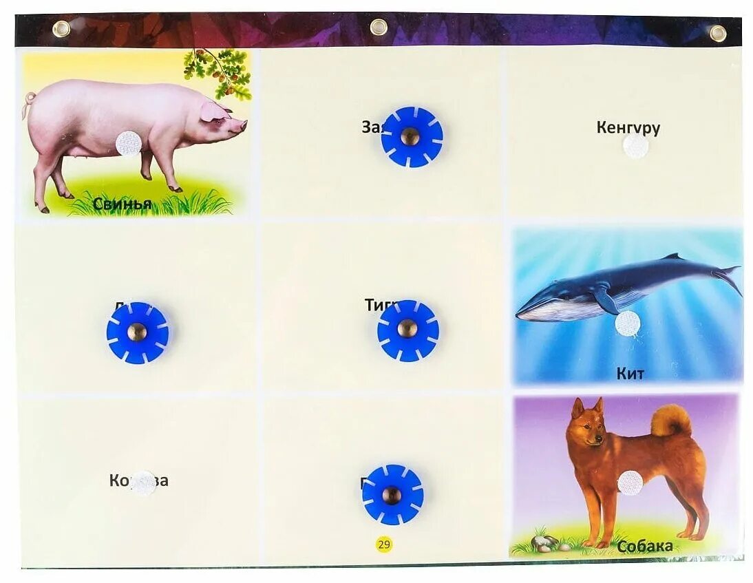 логический экран (планшет) с 4 лет. логический экран. планшет истоки русской культуры логический экран. логический экран. альбом живая природа.