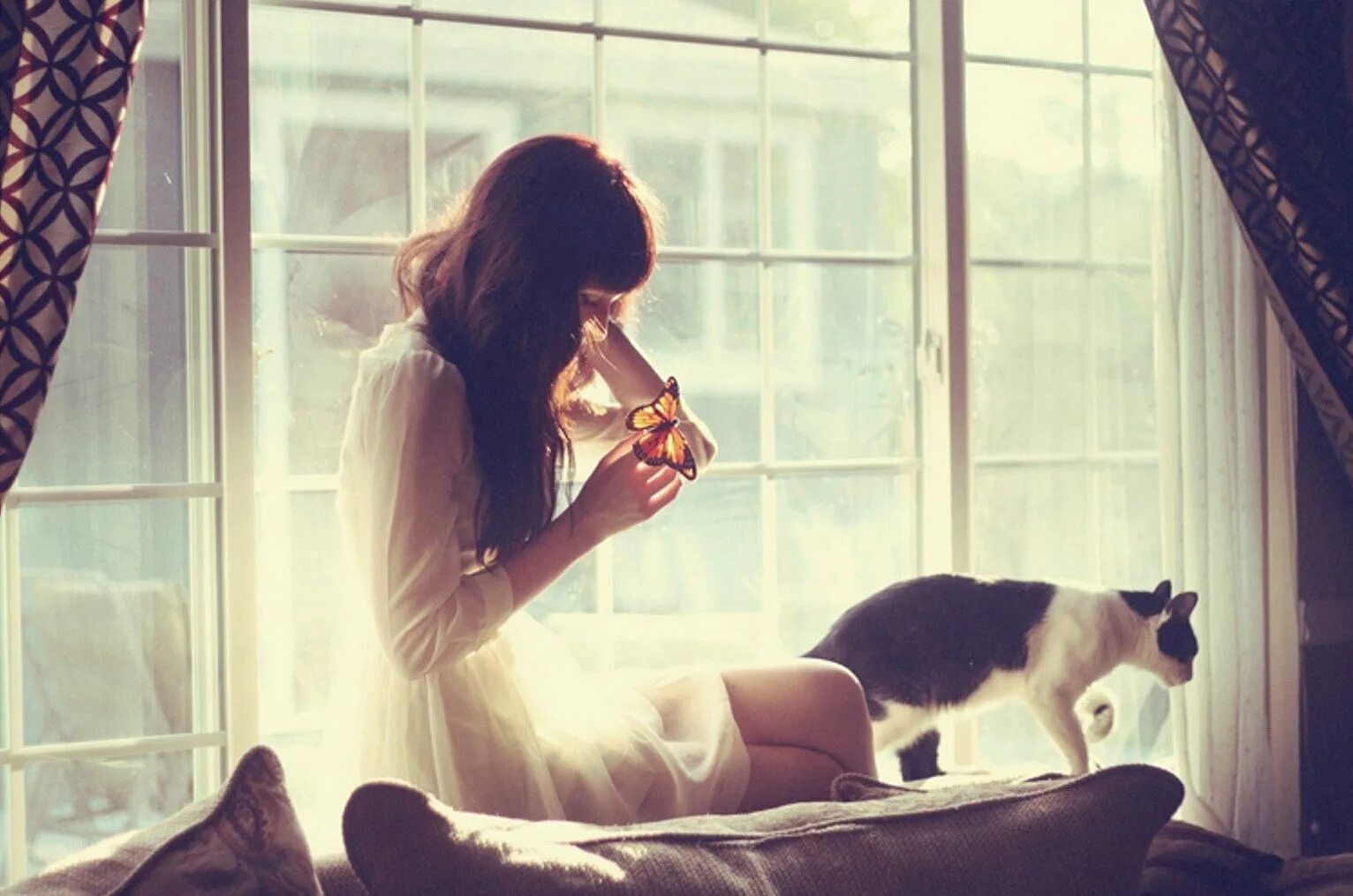 Сижу в предвкушении. Девушка с котом на подоконнике. Девушка кошка. Девушка на подоконнике с кофе. Девушка у окна.