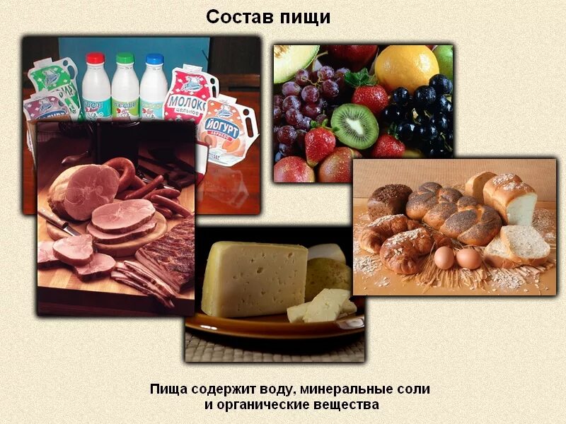 Пищевые вещества продуктов питания. Состав пищи. Питательные вещества белки жиры углеводы. Питательные вещества в продуктах питания. Состав пищи питательные вещества.