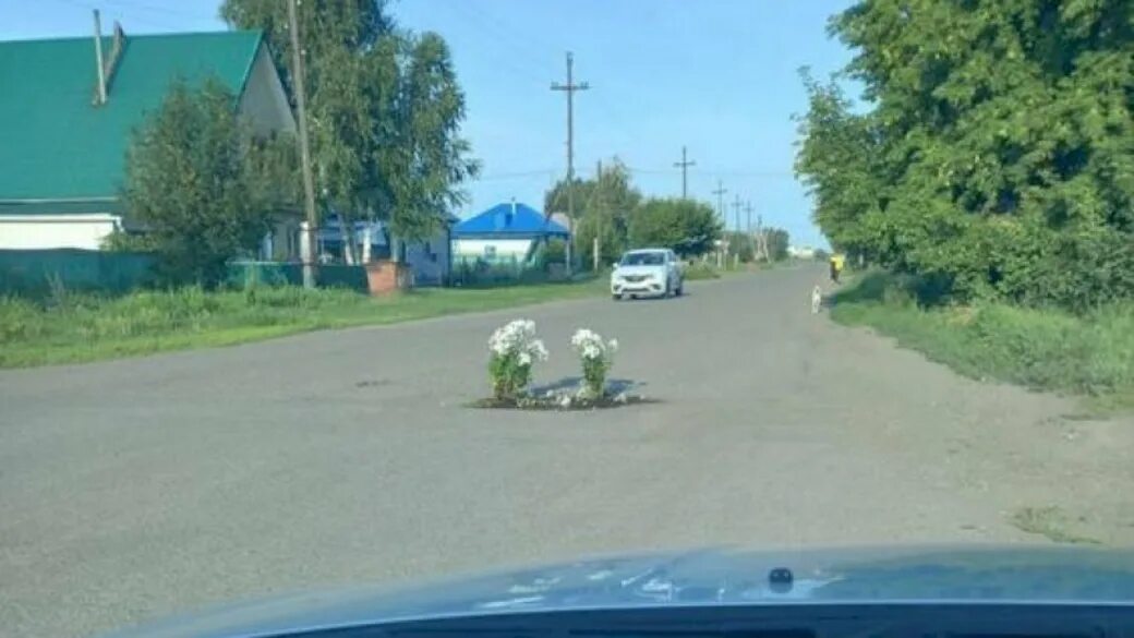 Камень на Оби улица Северная. Камень на Оби дороги. Камень на Оби насыпь. Камень на Оби Алтайского края Демьяна бедного 30. Доставка камень на оби