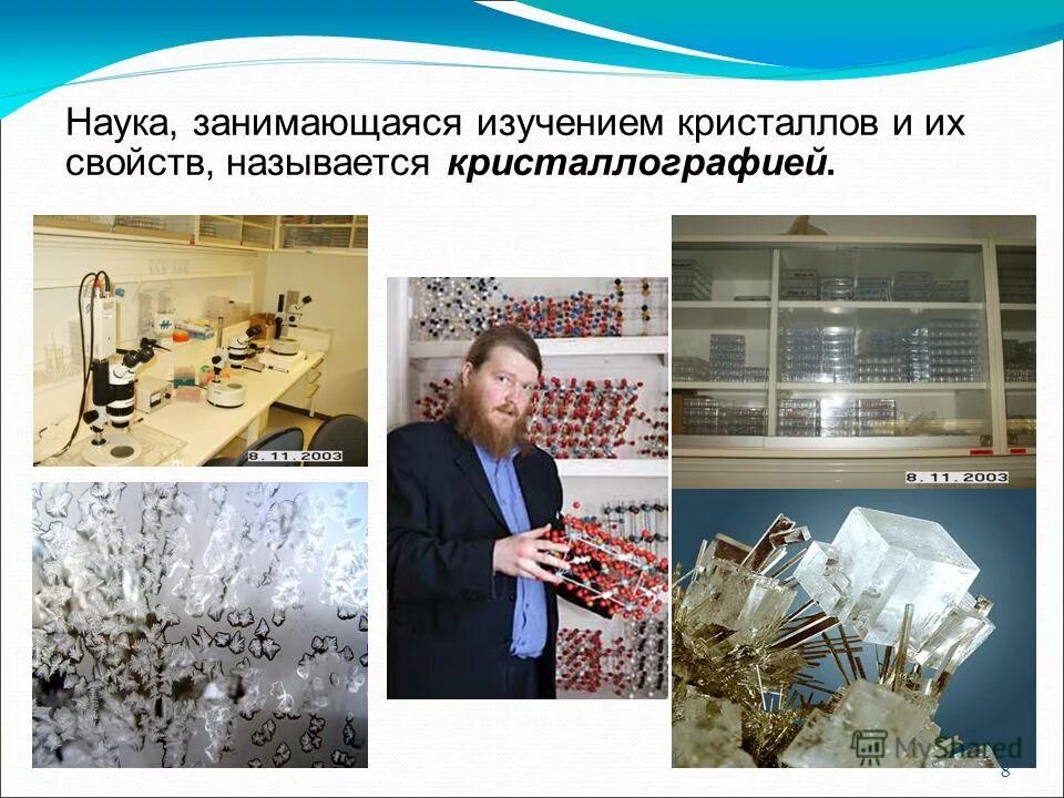 история (наука). физика наука экспериментальная. какая наука изучает строение тела человека. наука изучающая работу органов человека. методы биологических исследований клетки.