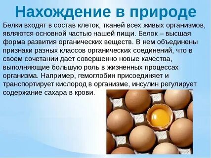 Значение белков для клетки
