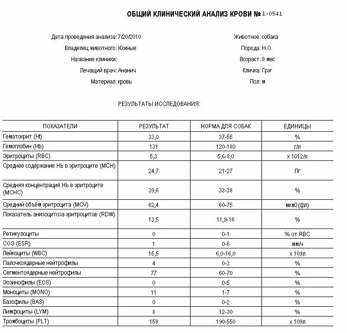 Ретикулоциты повышены у мужчины. Клинический анализ крови у животных бланк. Клинический анализ мочи животных. Современный бланк клинического анализа. Клинический анализ кролика.