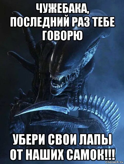 Убери говорю. Мем чужой рисовач. убери лапы. последний раз что такое последний раз. страшно а тебя предупреждали.
