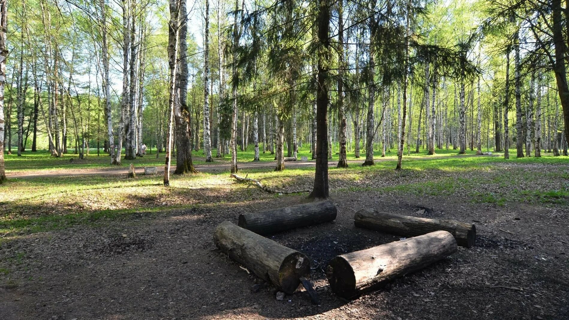 Ано парк. Парк Вологда. Вологда сквер.