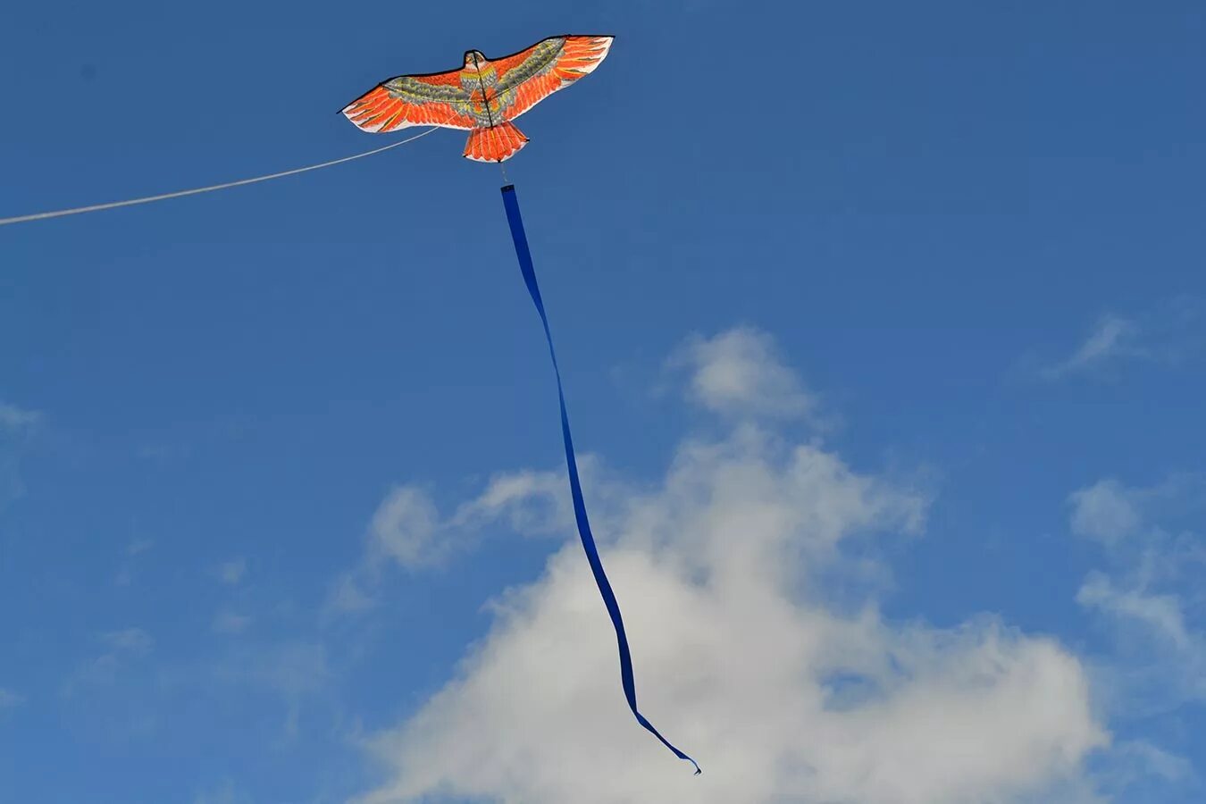 Воздушный змей 4 класс. Воздушный змей kr-9848. Воздушный змей ветер. Воздушный змей на проводах. Воздушный змей молния.