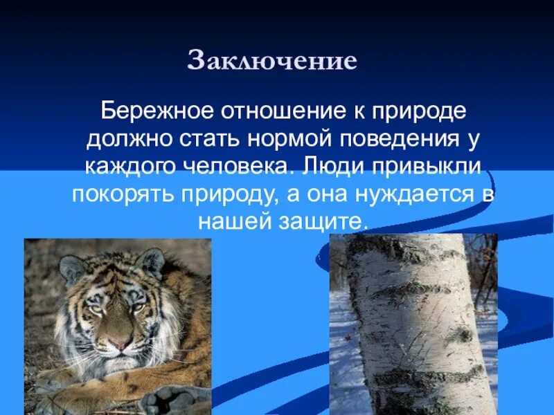 Бережное отношение к природе. Бережное отношение к природе сочинение. Доклад о бережном отношении к природе. Вывод бережного отношения к природе.