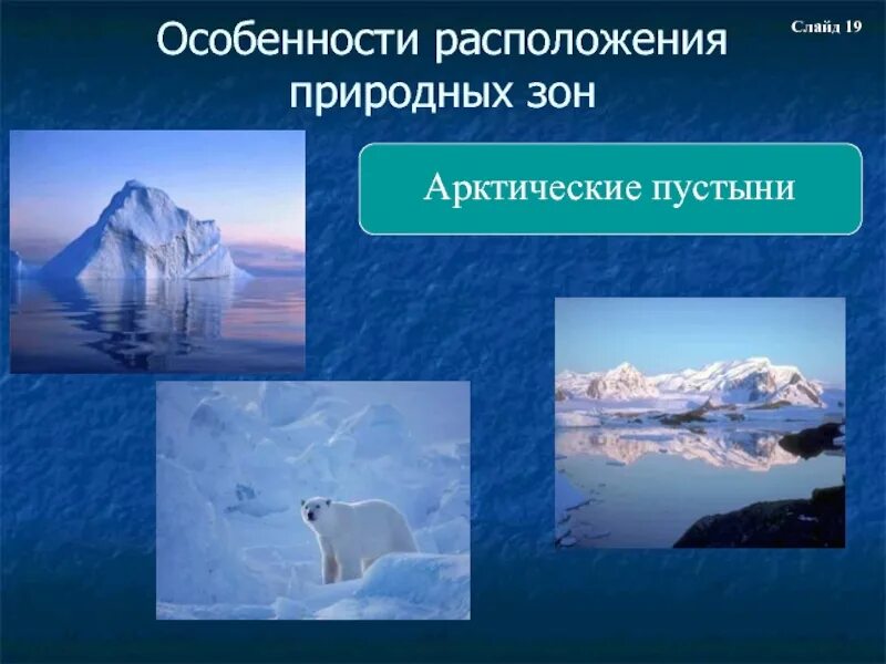 Особенности природы северных материков 7 класс. Особенности арктических пустынь. Особенности арктической пустыни. Особенности природы арктических пустынь. Арктические пустыни особенности природы.