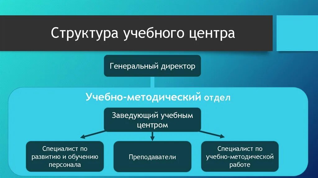 Управление организацией профессионального образования. Организационная структура учебного центра. Организационная структура образовательного центра. Структура учебного центра в компании. Структура методического центра.