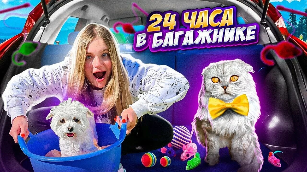 Семья ляпота тв. Ава ляпота тв. Ляпота тв кот кевин идëт в школу. Ляпота тв 24 часа в палатке. Ляпота и благолепие.