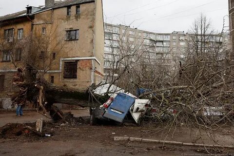 Ураган в калининграде сегодня
