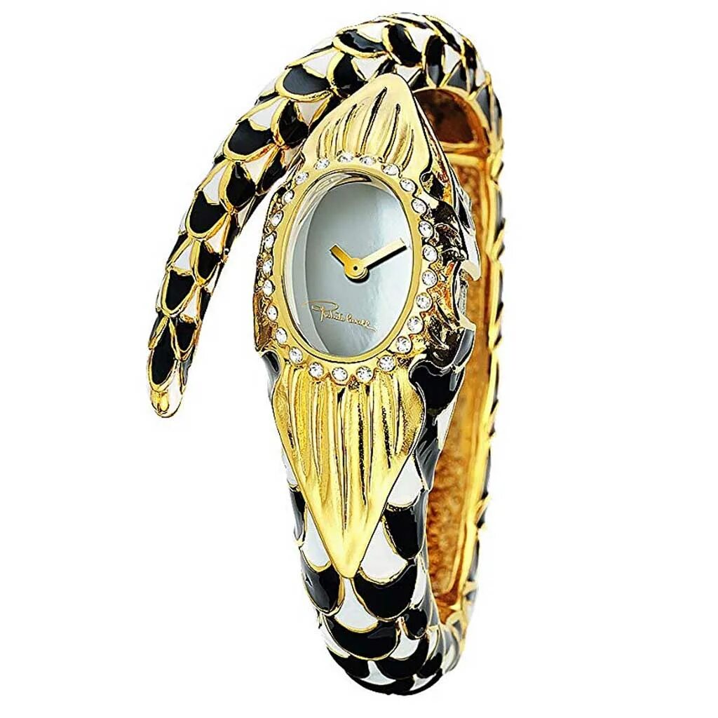 Watch snake. Часы Roberto Cavalli Snake. Часы Roberto Cavalli женские Snake. Часы Роберто Кавалли женские со змеей. Часы со змеей Roberto Cavalli.