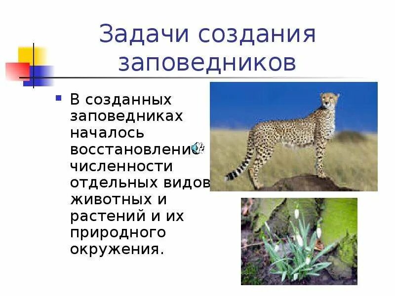 Какие биологические знания нужны в создании заповедников