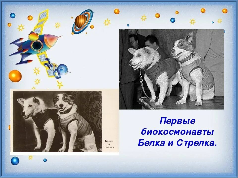 Белка и стрелка возраст. Белка и стрелка. белка и стрелка день космонавтики. освоение космоса белка и стрелка. белка и стрелка в космосе для детей.