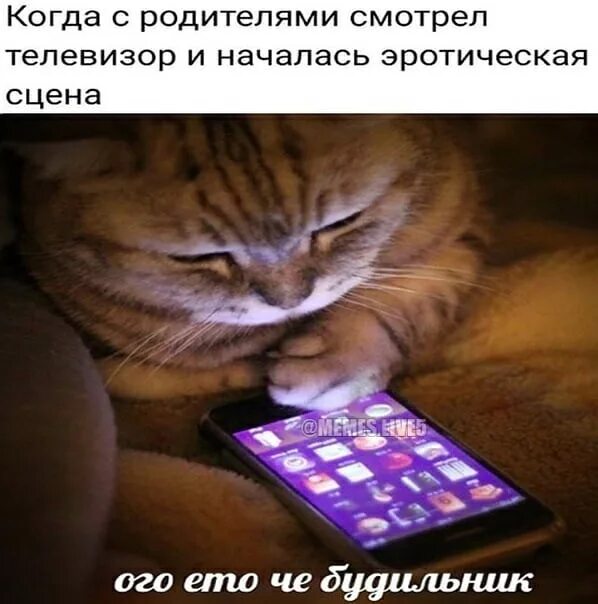 И вдруг начинают происходить. Сцена Мем.