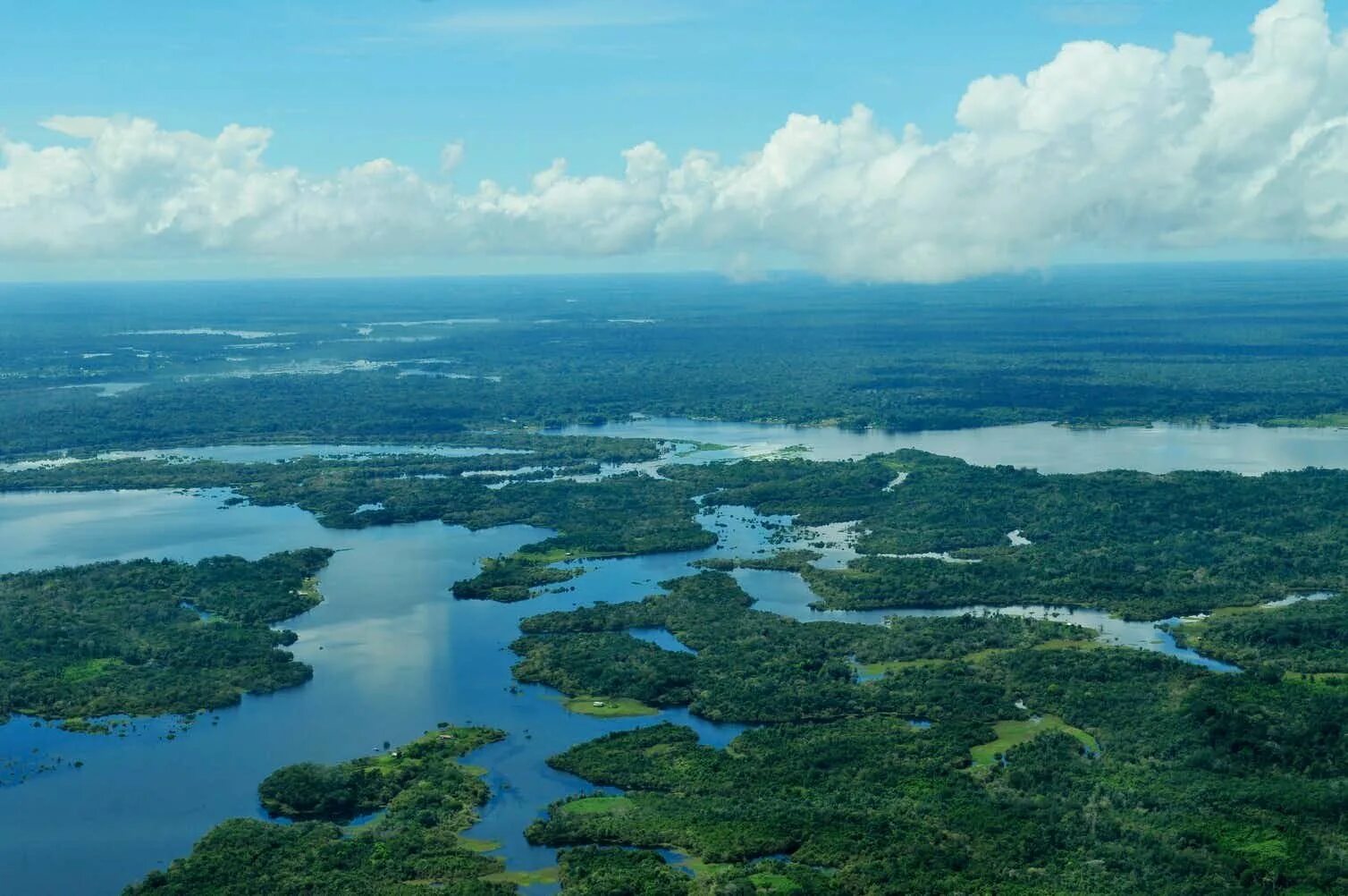 Реки страны бразилия. Река Амазонка в Бразилии. Амазонка река Укаяли. Южная Америка Амазонская низменность. Амазонка Укаяли Мараньон.